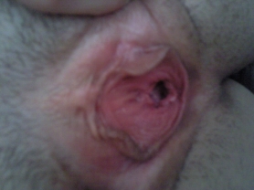 Nice German couple sextape - #120